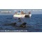Catamaran Bonadea II (3 Hours)